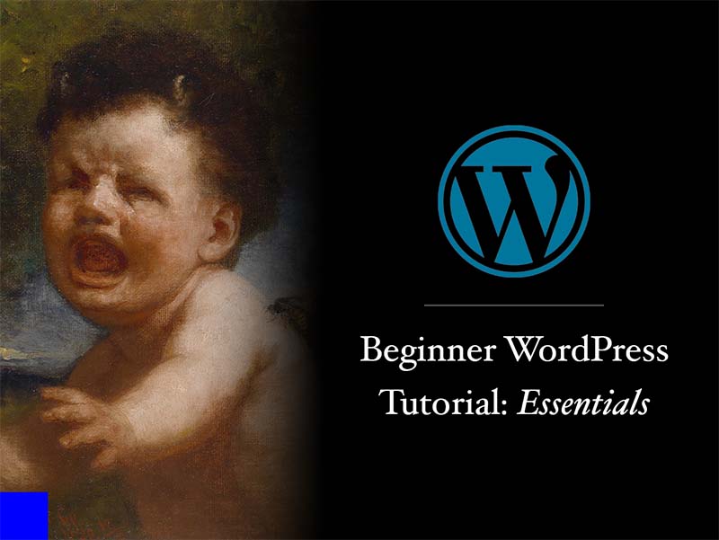 Learn WordPress: An Essential Guide For Complete Beginners thumbnail